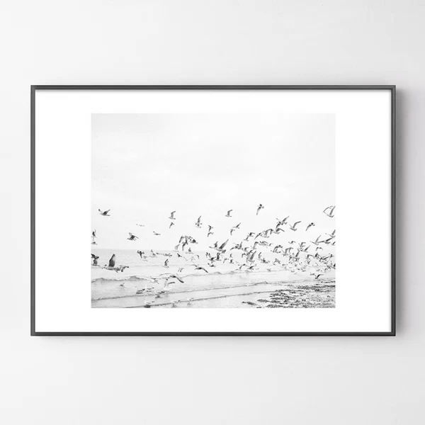 Seagulls Coast 3 Seagulls Coast