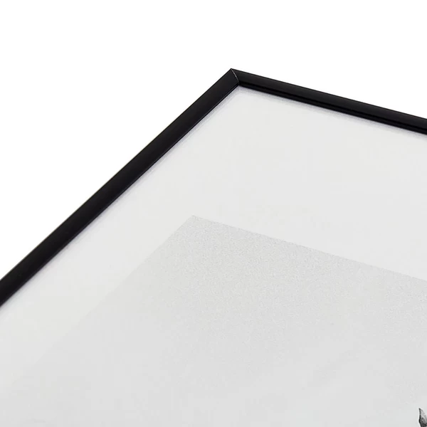 Seagulls Coast 5 Seagulls Coast - Image 3