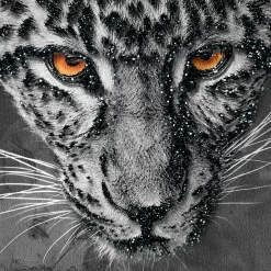 Leopard Spots 9 Leopard Spots -decoration webimage 630371298 630311422 630301417 DTL1