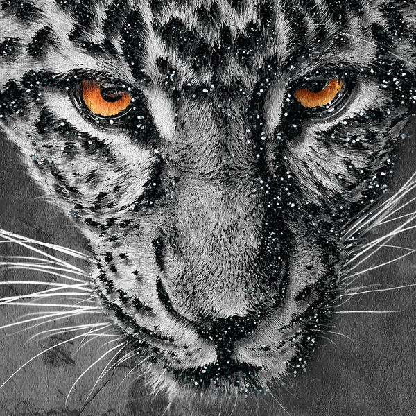 Leopard Spots 5 Leopard Spots - Image 3