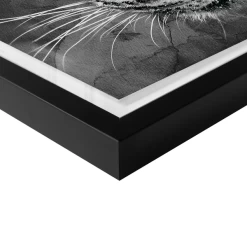 Leopard Spots 10 Leopard Spots -decoration webimage 630371298 630311422 630301417 DTL2