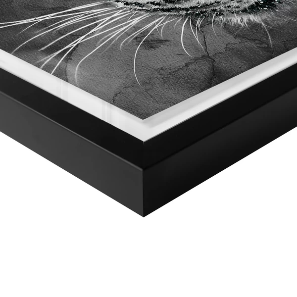 Leopard Spots 6 Leopard Spots - Image 4