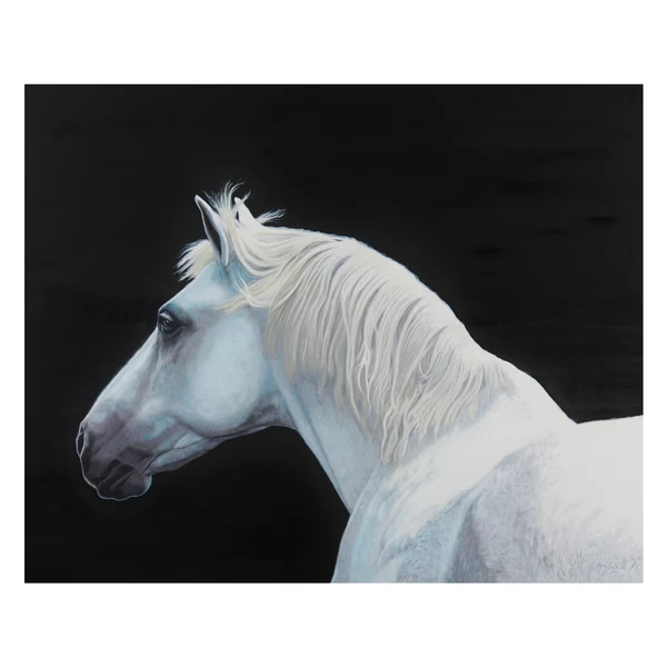 Luna 5 Luna - Image 3