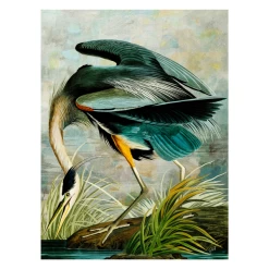 Curiosities 8 -decoration webimage 630386556 SIL