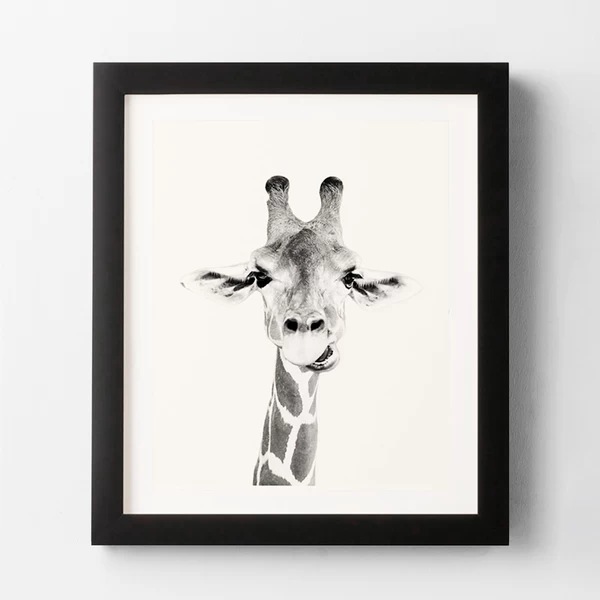 Happy Giraffe 3 Happy Giraffe