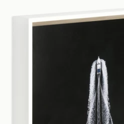 Wake Zone -decoration webimage 630603735 alt2