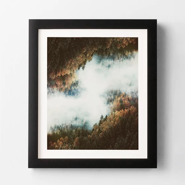 Forest Layers 3 Forest Layers