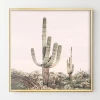 Pastel Pink Cactus -decoration webimage 630620454 1