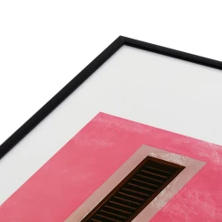 Rosa Mexicano -decoration webimage 630621837 DTL2