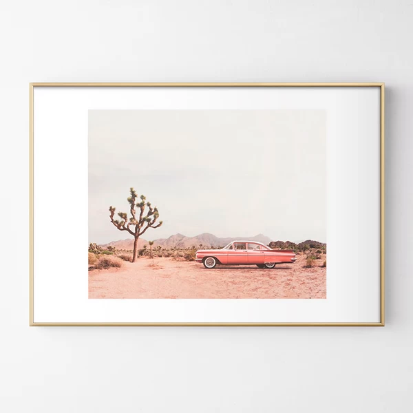 California Living 3 California Living