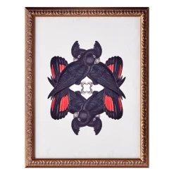 Calyptorhynchus Banksi