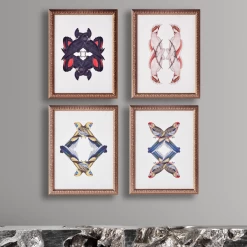 Calyptorhynchus Banksi -decoration webimage 725303417 2 jpg