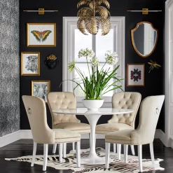 Calyptorhynchus Banksi -decoration webimage 725303417 rv1 jpg