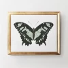 Beautiful Butterfly 2 2 Beautiful Butterfly 2 -decoration webimage 725371592 jpg 1