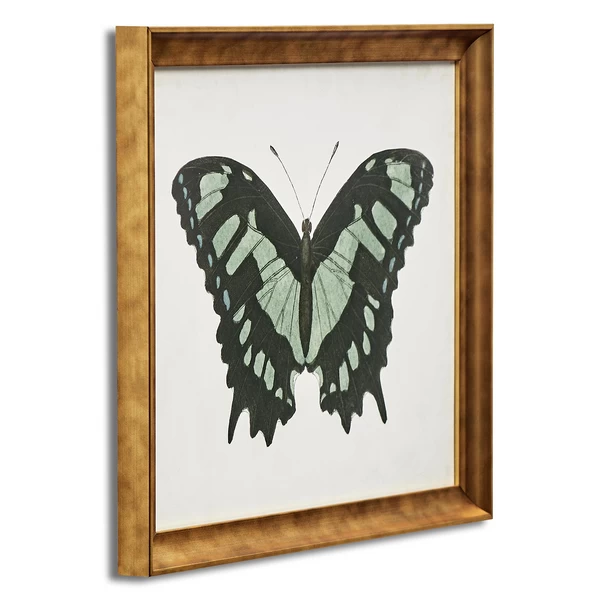 Beautiful Butterfly 2 4 Beautiful Butterfly 2 - Image 2