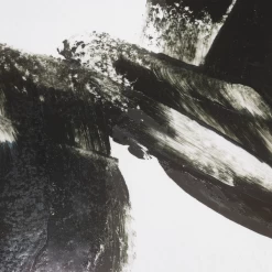 Black Expression 2 - Limited Edition -decoration webimage 730275951 2 jpg