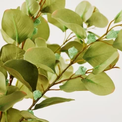 Eucalyptus Spray - Set Of 3 -decoration webimage 999172481 dtl